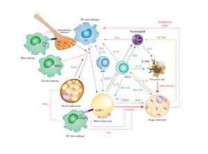 Cell metabolism publication